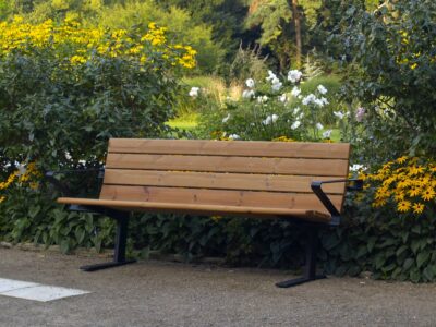 Nordic Bench