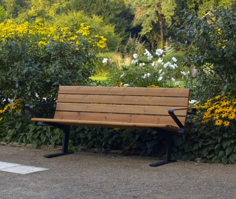 Nordic Bench