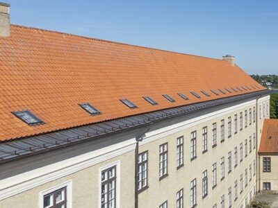 Tagvinduer, Viborg Katedralskole