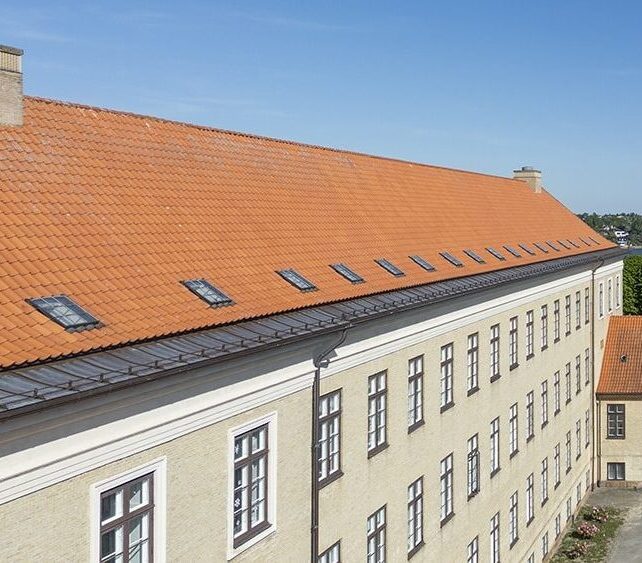 Tagvinduer, Viborg Katedralskole