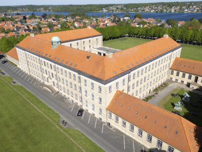 Tagvinduer, Viborg Katedralskole