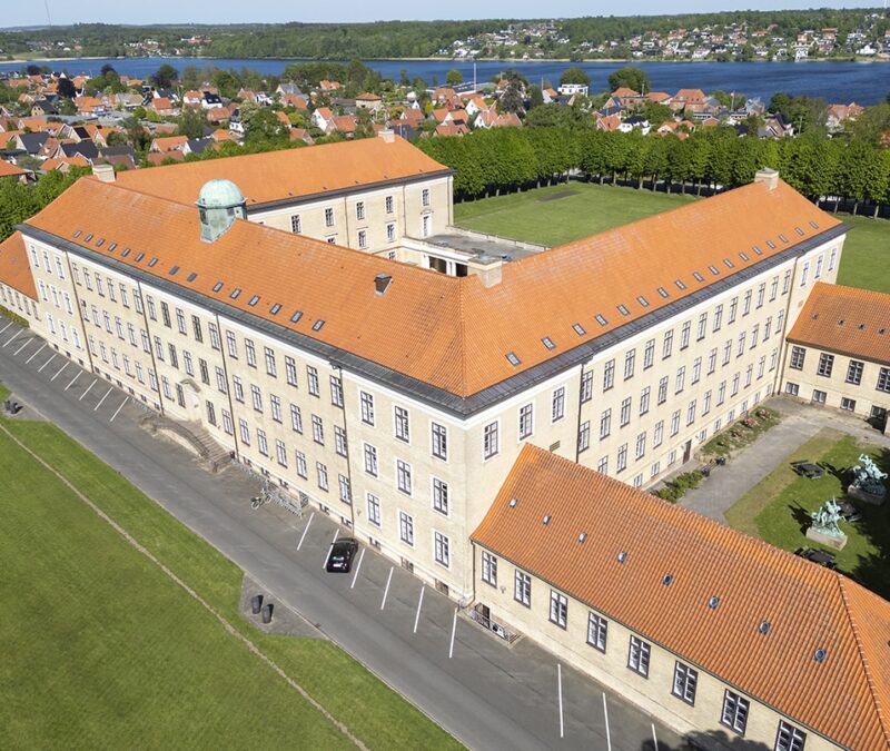 Tagvinduer, Viborg Katedralskole