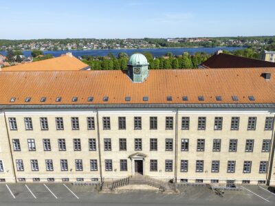 Tagvinduer, Viborg Katedralskole