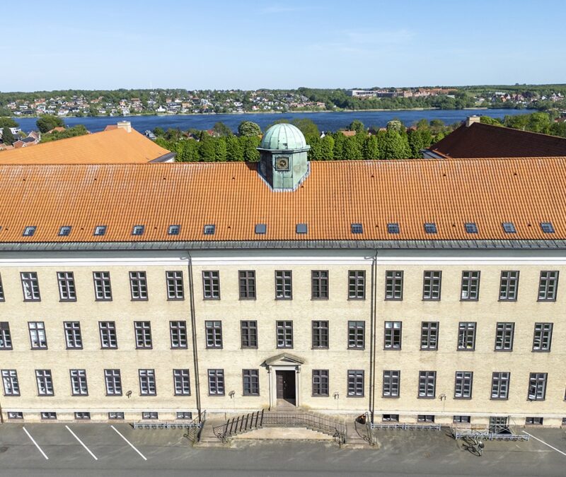 Tagvinduer, Viborg Katedralskole