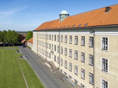 Tagvinduer, Viborg Katedralskole