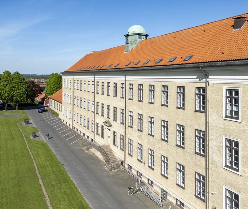 Tagvinduer, Viborg Katedralskole