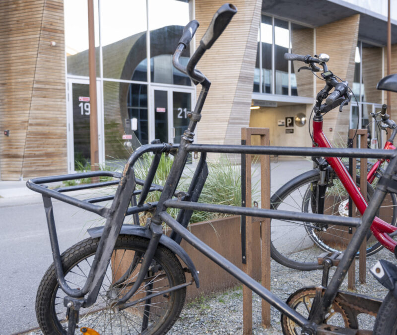 Cykelbøjle i støbejern