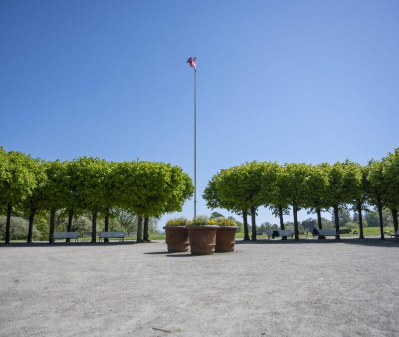 Flowerpot, Marselisborg Castle, Aarhus, Matera