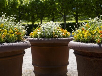 Flowerpot, Marselisborg Castle, Aarhus, Matera