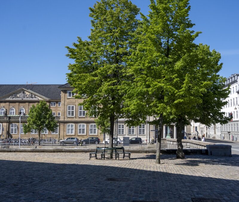 _DSC9751Københavner Rundbænk