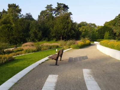 Nordic Bench