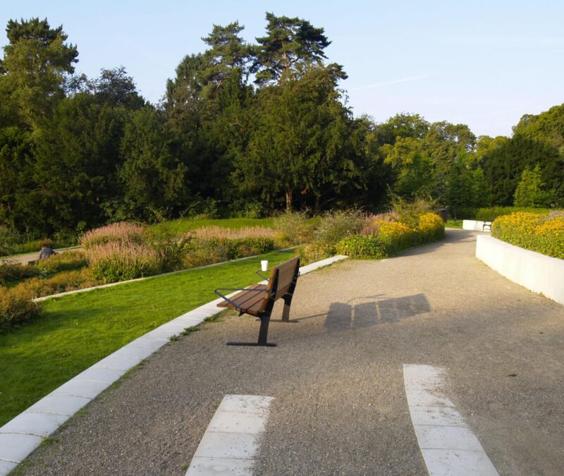 Nordic Bench