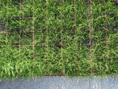 Grasbewehrungsgitter aus Gusseisen