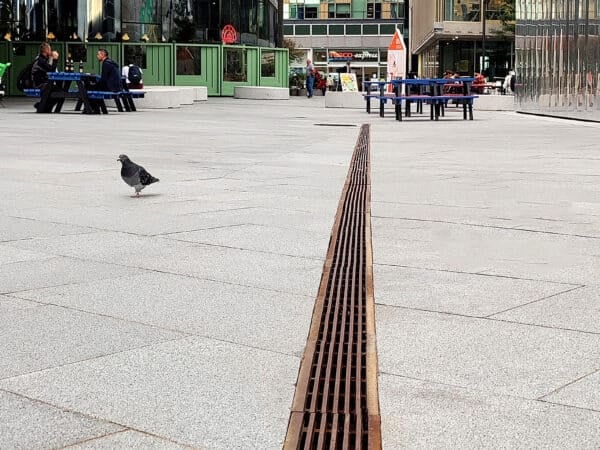 Due på en moderne plads