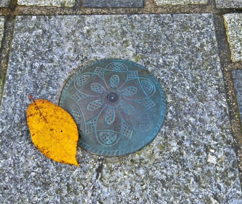 WP_20171102_12_27_38_Rich (1)