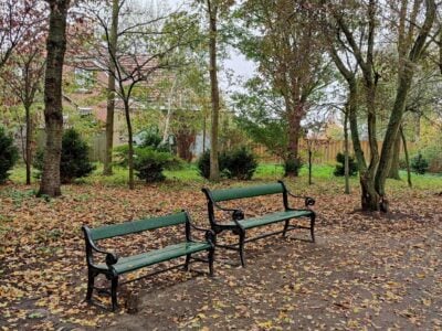 To bænke i en efterårspark