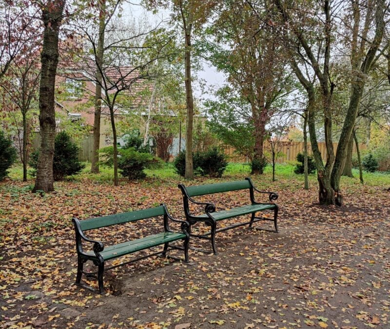 To bænke i en efterårspark